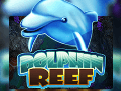 Dolphin Reef screenshot